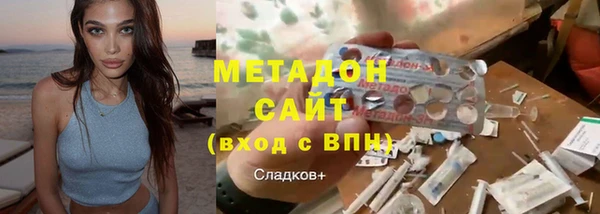 индика Алексин