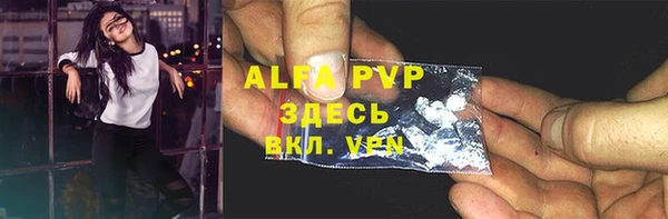 индика Алексин