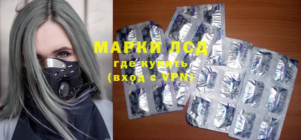индика Алексин