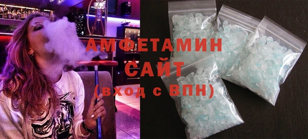 индика Алексин