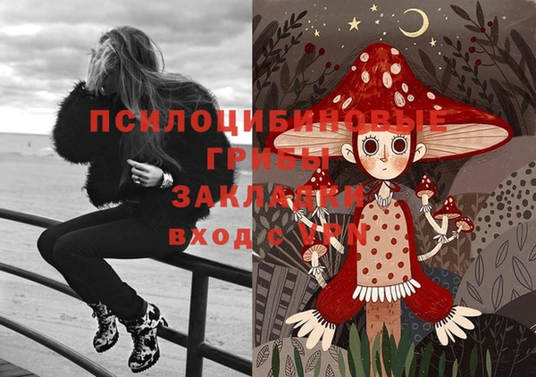 винт Алексеевка
