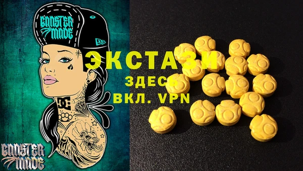 индика Алексин