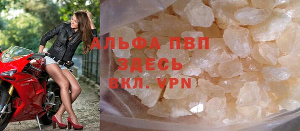 индика Алексин