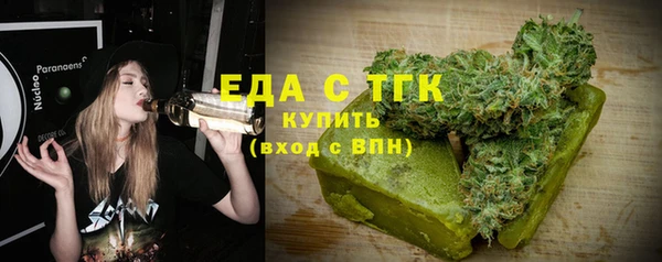 индика Алексин