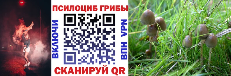 Галлюциногенные грибы мицелий  магазин продажи   дарк нет наркотические препараты  Кольчугино 